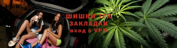 амф Пестово