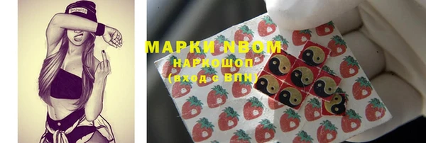 амф Пестово