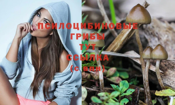 спайс Переславль-Залесский