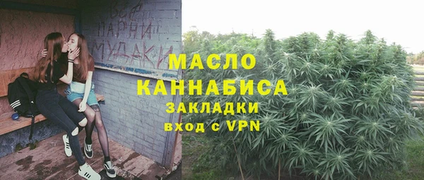 амф Пестово