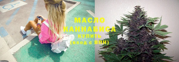 амф Пестово