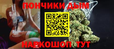 гашик Шебекино