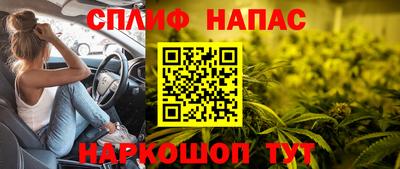 spice Ярославль