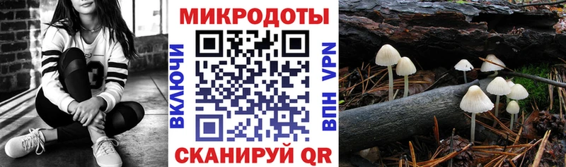 Псилоцибиновые грибы мицелий Тында