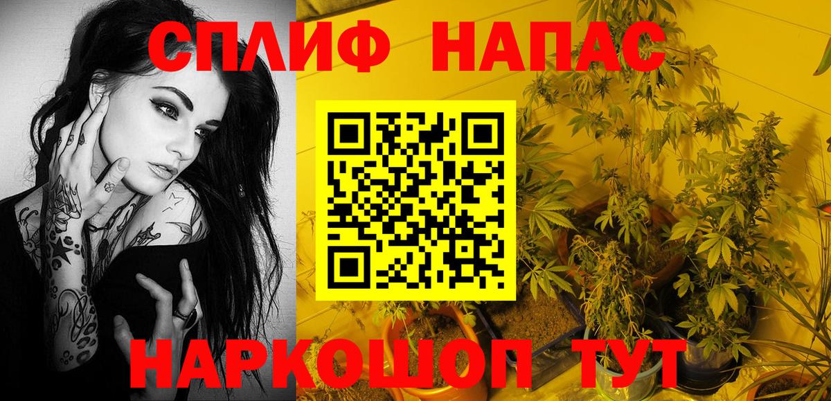 Бошки марихуана Amnesia Тында